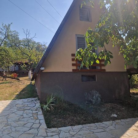 Apartmani Radakovic Vrdnik Exterior photo